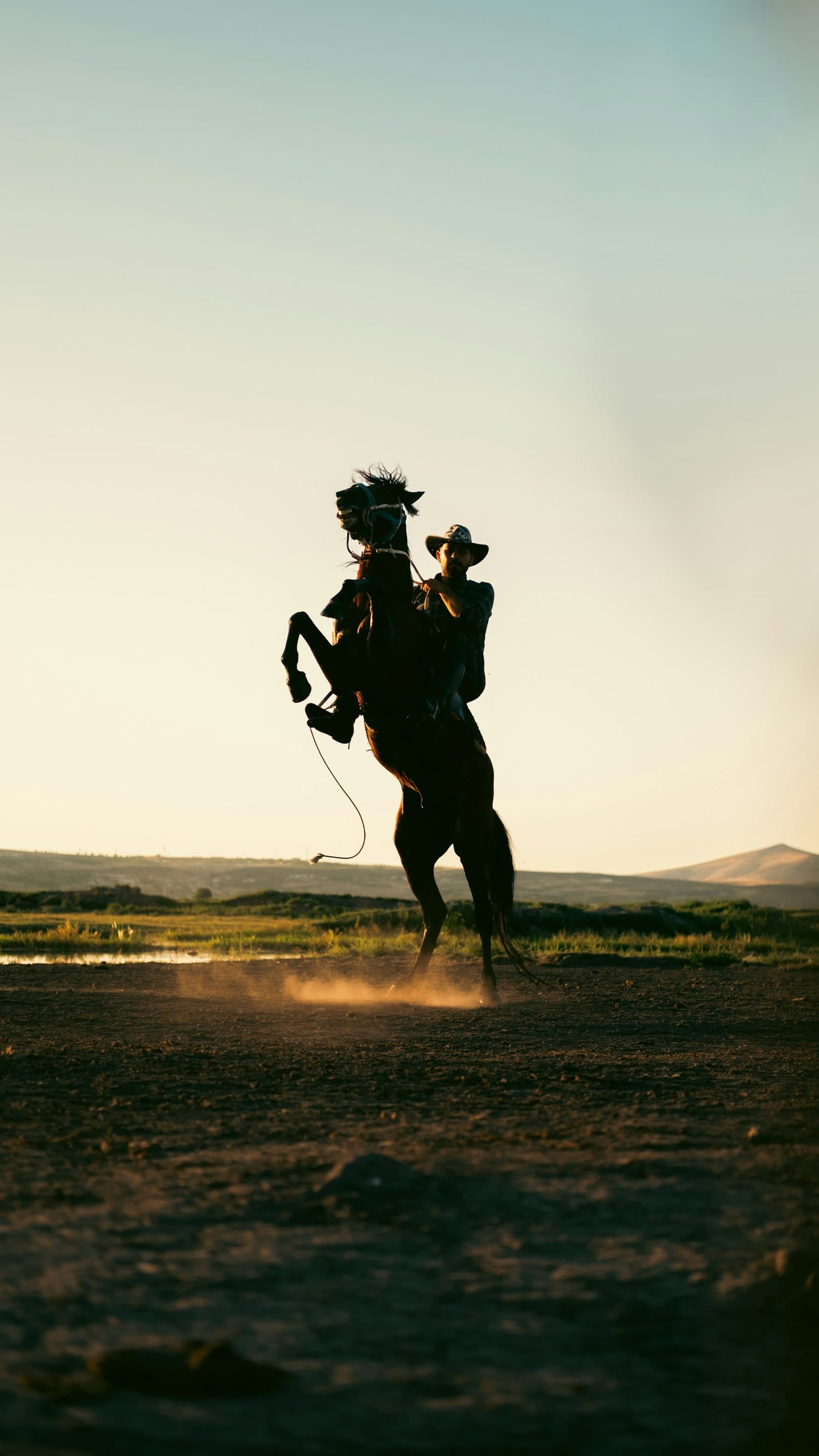 A rider on a rearing horse, in silhouette at dusk.